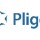 Поддержка сайта на Pligg