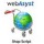 Поддержка сайта на WebAsyst Shop-Script